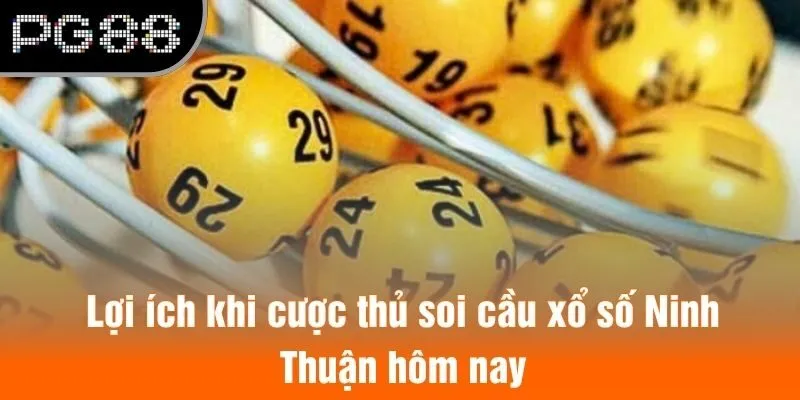 Lợi ích khi cược thủ soi cầu xổ số Ninh Thuận hôm nay